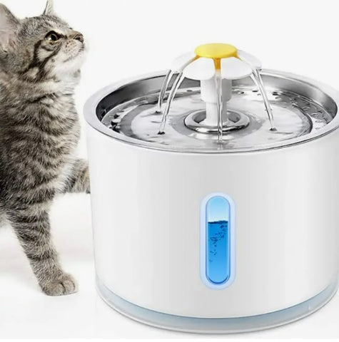 Pet Water Fountain with Automatic Dispenser
