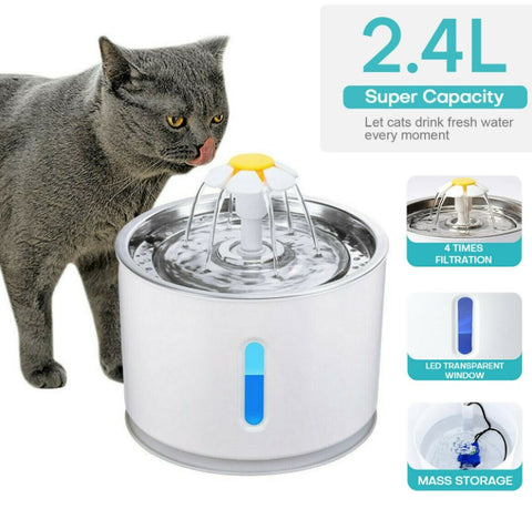 Pet Water Fountain with Automatic Dispenser